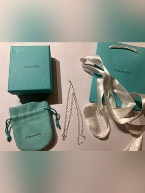 Tiffany & Co. Sterling Silver Oval Link 20 Inch Chain Necklace